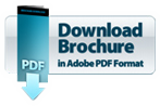 Download PDF